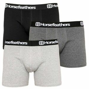 Horsefeathers 3PACK pánské boxerky vícebarevné (AM067D) L obraz