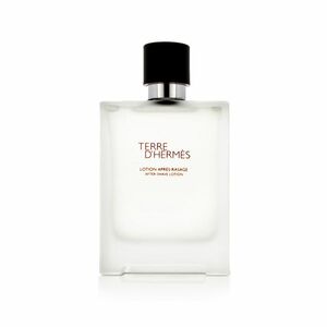 Hermès Terre D' AS 100 ml M (Nový obal) obraz