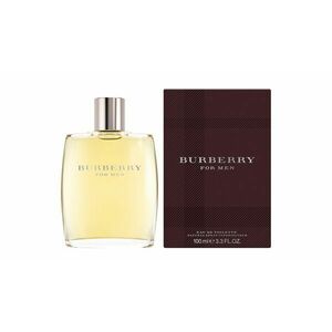 Burberry For Men toaletní voda pro muže 100 ml obraz