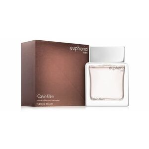 Calvin Klein Euphoria for Men toaletní voda pro muže 100 ml obraz