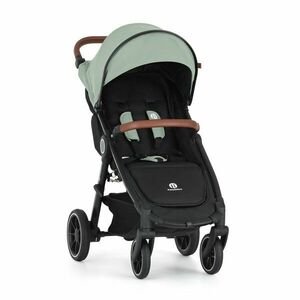 Petite&Mars Kočárek sportovní Street2 RWS Oak Iron Green obraz