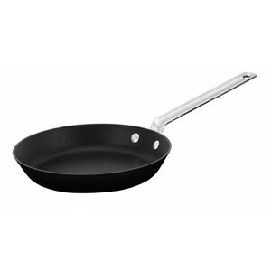 SCANPAN TechnIQ pánev 22cm obraz