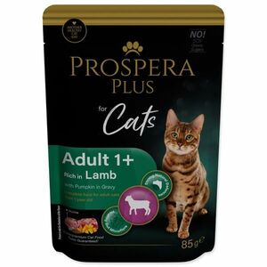 PROSPERA Plus Adult 1+ Lamb Pumpkins kapsička 85 g obraz