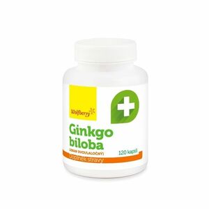 Wolfberry Ginkgo biloba 120 kapslí obraz