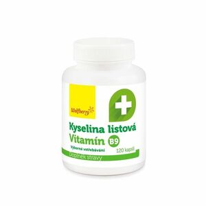 Wolfberry Kyselina listová 120 kapslí obraz