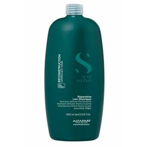 Alfaparf Milano Semi di Lino Reconstruction Low Shampoo rekonstrukční šampon 1000 ml obraz