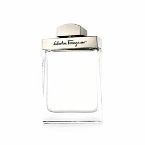 Salvatore Ferragamo Pour Homme EDT 100 ml M obraz