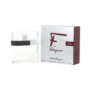 Salvatore Ferragamo Salvatore F by Pour Homme EDT 100 ml M obraz