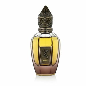 XerJoff Kemi Aurum Parfém 50 ml UNISEX obraz