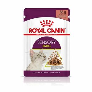 Royal Canin Sensory smell ve šťávě kapsička 12x85 g obraz