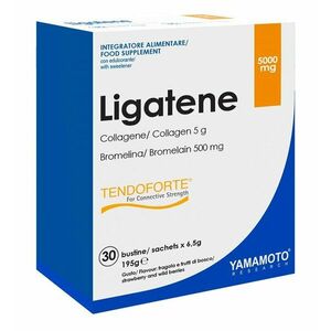 Ligatene Tendoforte (silné šlachy a vazy) - Yamamoto 30 x 6, 5 g Strawberry and Wild Berries obraz