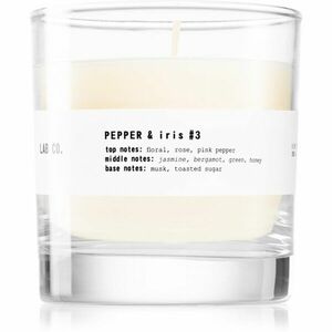 Ambientair Lab Co. Pepper & Iris vonná svíčka 200 g obraz