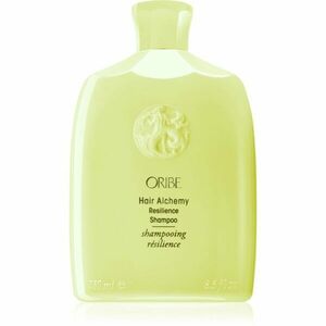 Oribe Hair Alchemy Resilience Shampoo posilující šampon pro křehké vlasy 250 ml obraz