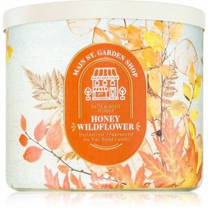 Bath & Body Works Honey Wildflower vonná svíčka 411 g obraz