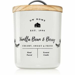 DW Home Farmhouse Vanilla Bean & Berry vonná svíčka 255 g obraz