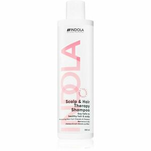 Indola Scalp & Hair Therapy Shampoo šampon proti lupům pro chemicky ošetřené vlasy 300 ml obraz