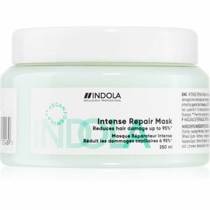 Indola Repair Intense Repair Mask posilující maska pro extrémně poškozené vlasy 250 ml obraz