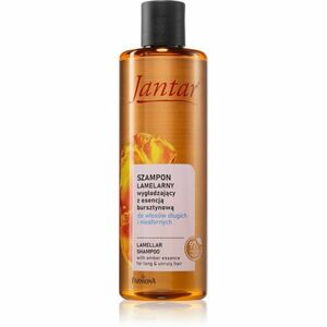 Farmona Jantar Amber Essence šampon pro dlouhé vlasy 300 ml obraz