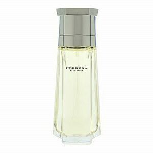 Carolina Herrera Herrera For Men toaletní voda pro muže 100 ml obraz