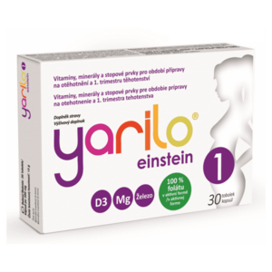 YARILO Einstein 1 30 tobolek obraz