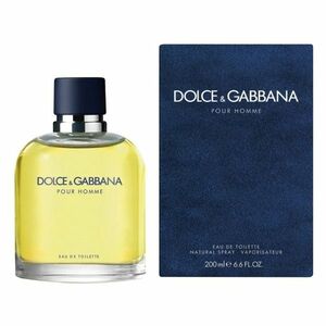 Dolce & Gabbana Pour Homme Toaletní voda 125ml obraz