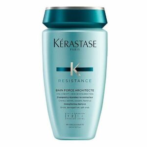 Kerastase Resistance Bain De Force Architecte 1000ml Pro velmi poškozené vlasy obraz