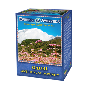 EVEREST AYURVEDA Gauri sypaný čaj 100 g obraz