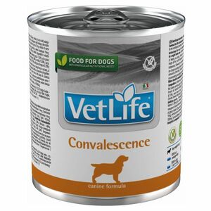 VET LIFE Natural Convalescence konzerva pro psy 300 g obraz