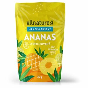 ALLNATURE Ananas sušený mrazem kousky 30 g obraz