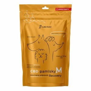 CURE POINT CBD Recovery M Pamlsky pro psy 100 g obraz