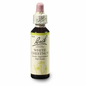 ORIGINAL BACH® White chestnut 20 ml obraz