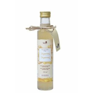 Naturprodukt sirup Zázvorový 250 ml obraz