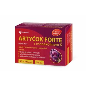 Noventis Artyčok Forte s monakolinem K 50+10 tablet obraz