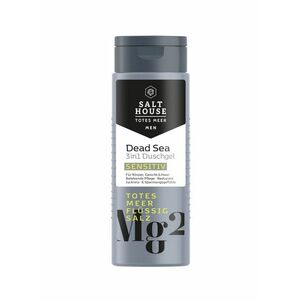 Salt House Sprchový gel pro muže 3v1 250 ml obraz