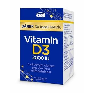 GS Vitamin D3 2000 IU 90+30 kapslí obraz