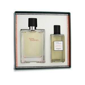 Hermès Terre D' EDT 100 ml + SG 80 ml M (Fantaisie Etriers Cover) obraz