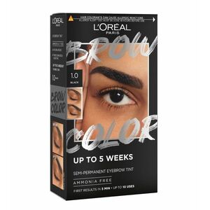 Loréal Paris Brow Color 1.0 Black semi-permanentní barva na obočí 1 ks obraz