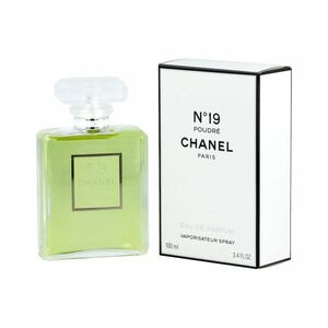 Chanel No 19 Poudre EDP 100 ml W obraz