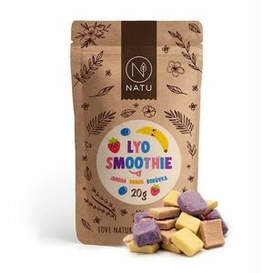 NATU Lyo Smoothie mix jahoda banán borůvka 20 g obraz