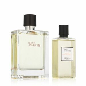 Hermès Terre D' EDT 100 ml + SG 80 ml M (Travel Edition) obraz