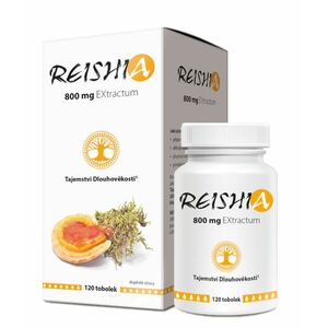 REISHIA 800 mg EXtractum 120 tobolek obraz