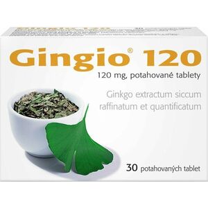 GINGIO 120 mg, 30 tablet obraz