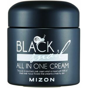 MIZON Black Snail All In One, Krém na regeneraci a vrásky 75 ml obraz