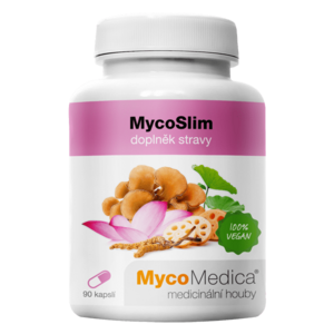 MYCOMEDICA MycoSlim 90 kapslí obraz