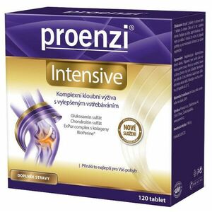 PROENZI Intensive 120 tablet obraz