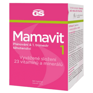 GS Mamavit 1 Plánování a 1.trimestr 90 tablet obraz