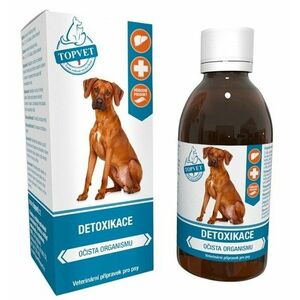 TOPVET Sirup Detoxikace 200 ml obraz