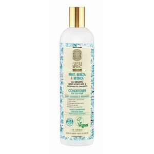 NATURA SIBERICA Kondicionér pro mastné vlasy 400 ml obraz