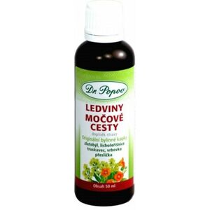 DR.POPOV Ledviny-močové cesty Bylinné kapky 50 ml obraz