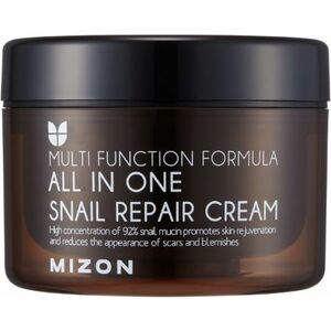 MIZON All In One Snail Repair, Krém na vrásky a problematickou pleť 120 ml obraz